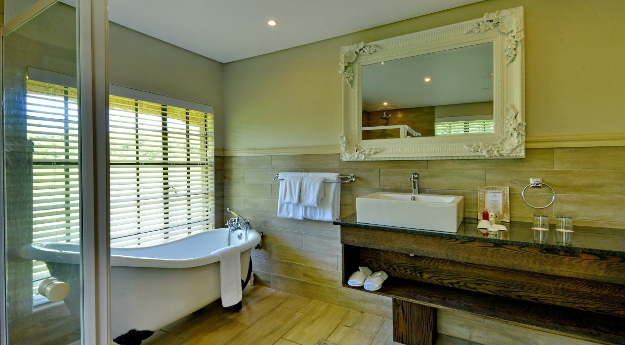 Accom - Deluxe Room (8)