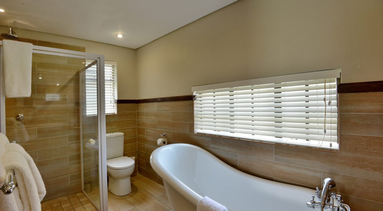 Accom - Standard Room (4)